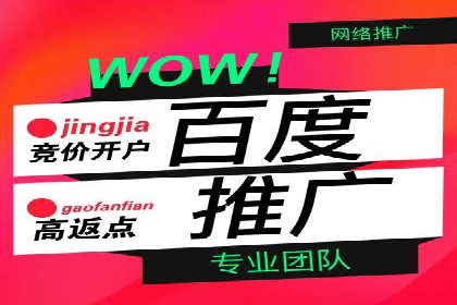 百度竞价包年推广成功案例展示